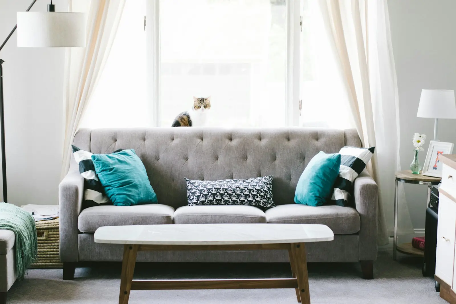 Laureles Pet-Friendly Living